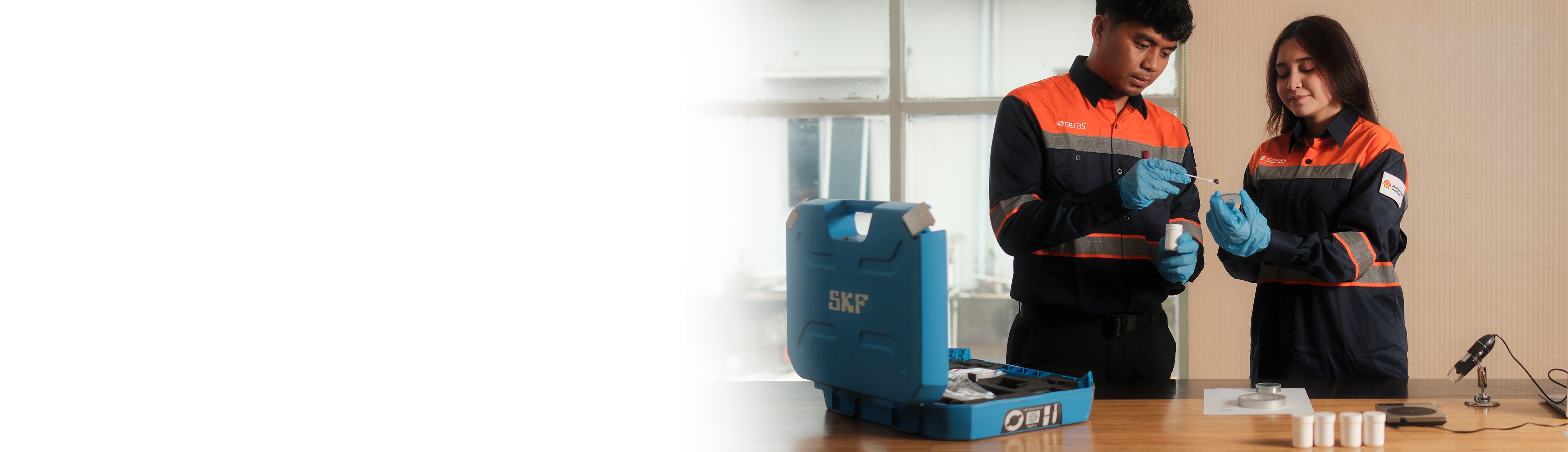 grease-monitoring-skf